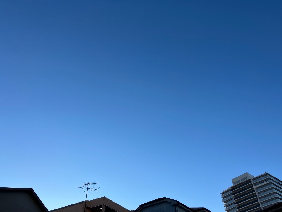 1/5 朝空