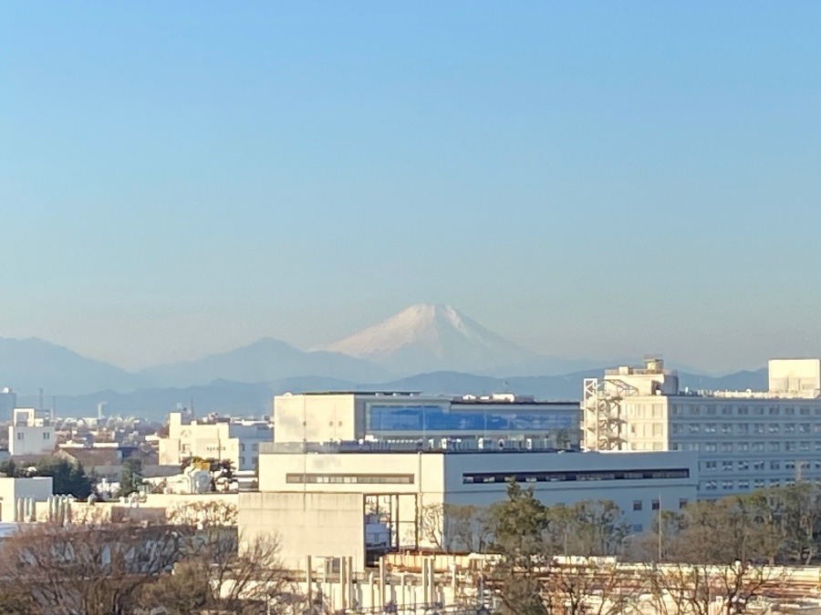 今朝の富士山 2023-7