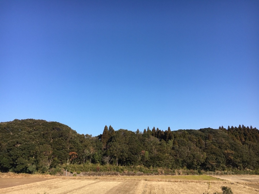 ⭕️空部→ 今日の空（≧∇≦）‼️349.