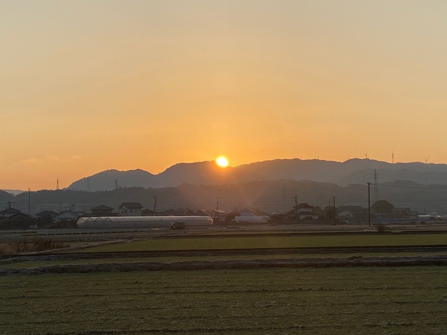 今朝の空　1／19