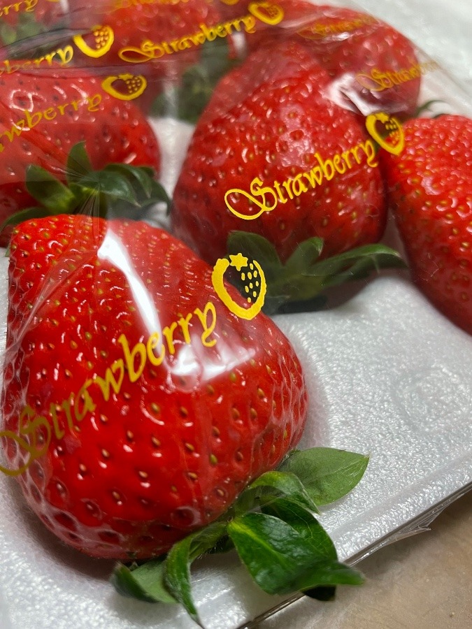 あま〜い　イチゴ🍓