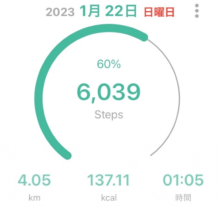 今日のウォーキング👣