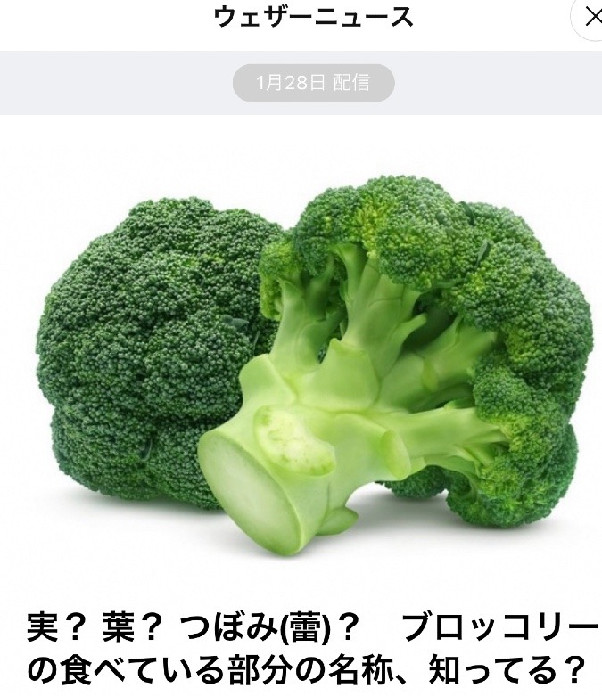 今が旬のブロッコリーの秘密🥦