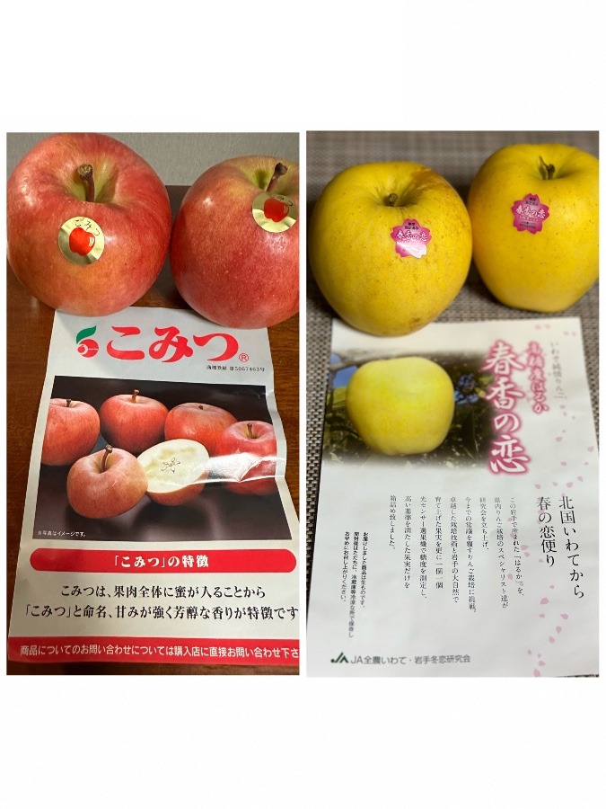 2種類のりんごです🍎