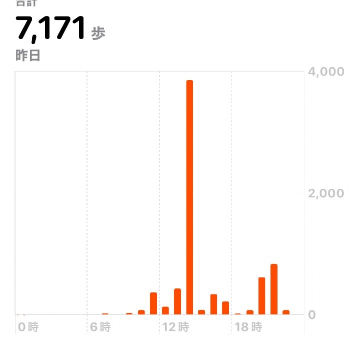 7171歩　新年ウォーキング1/2