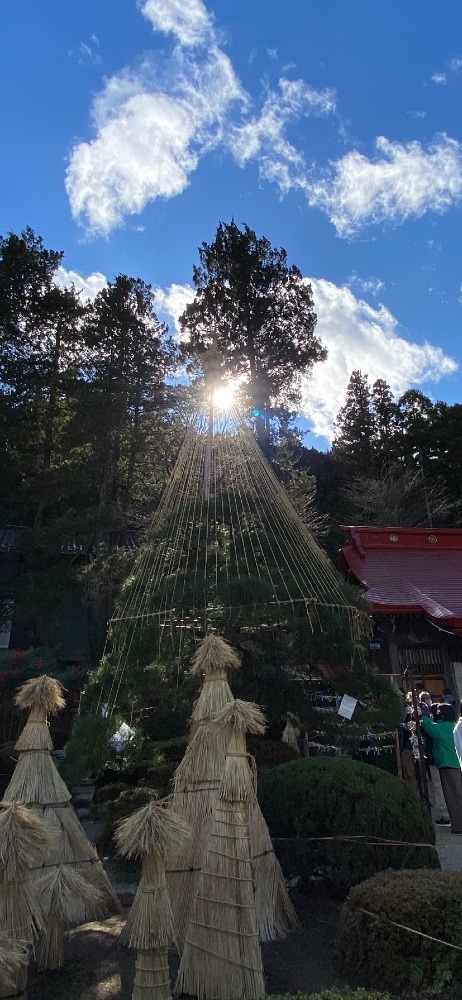 太陽と雪吊り☀️☀️☀️