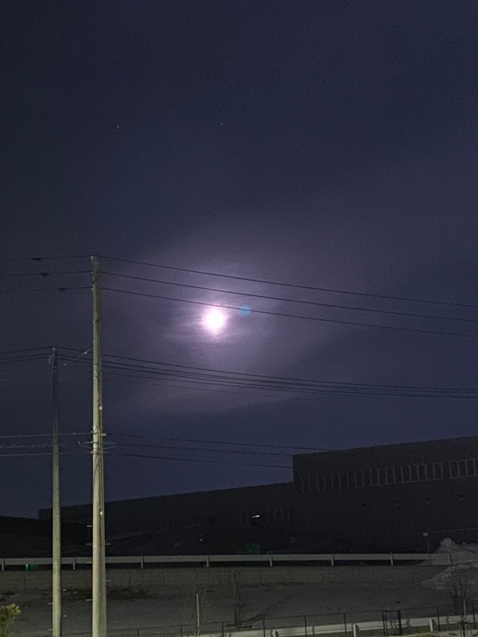 お月さん🌕🌕🌕