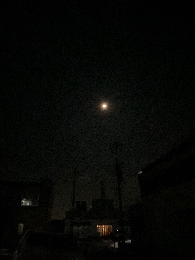 おはよう🌕🌕🌕