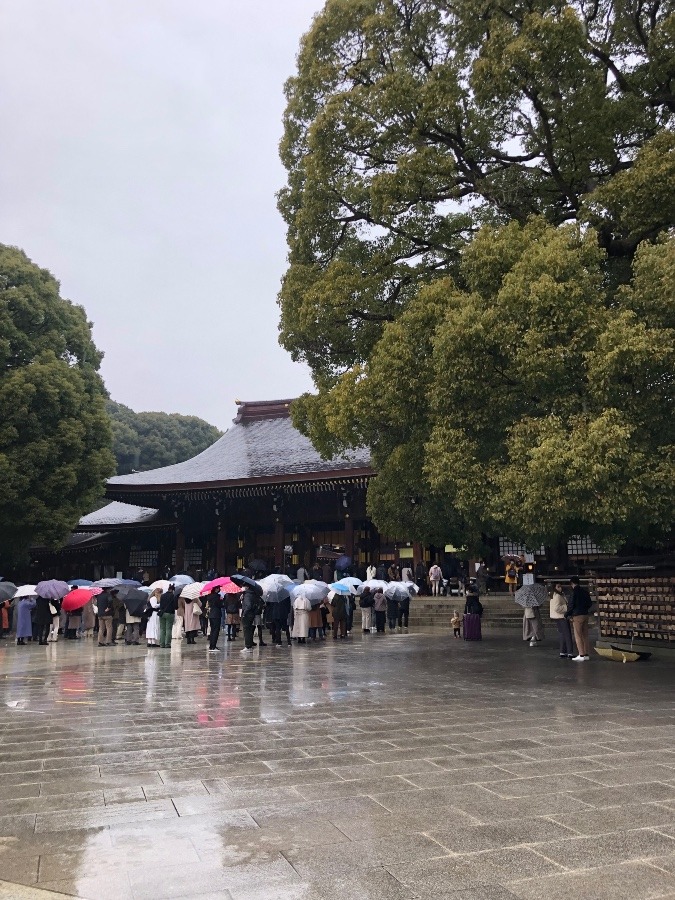 雨の中でも