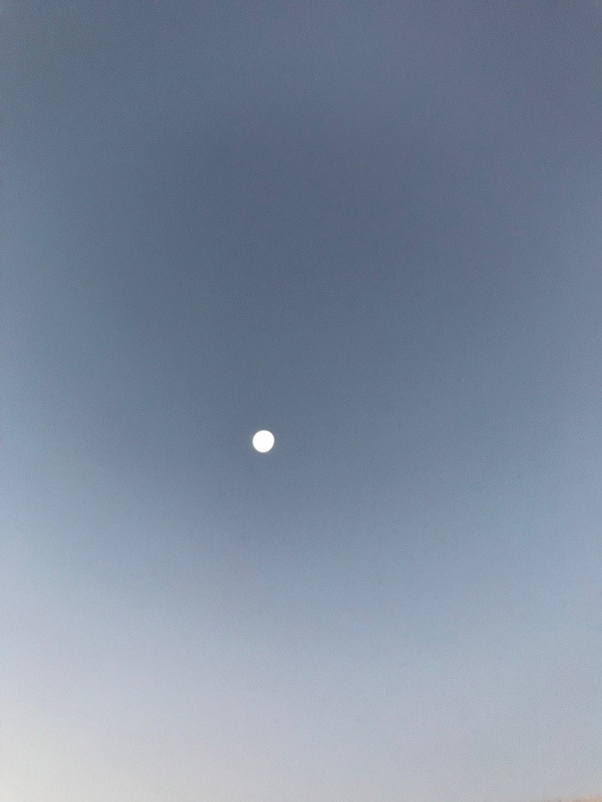 朝のお月さま〜