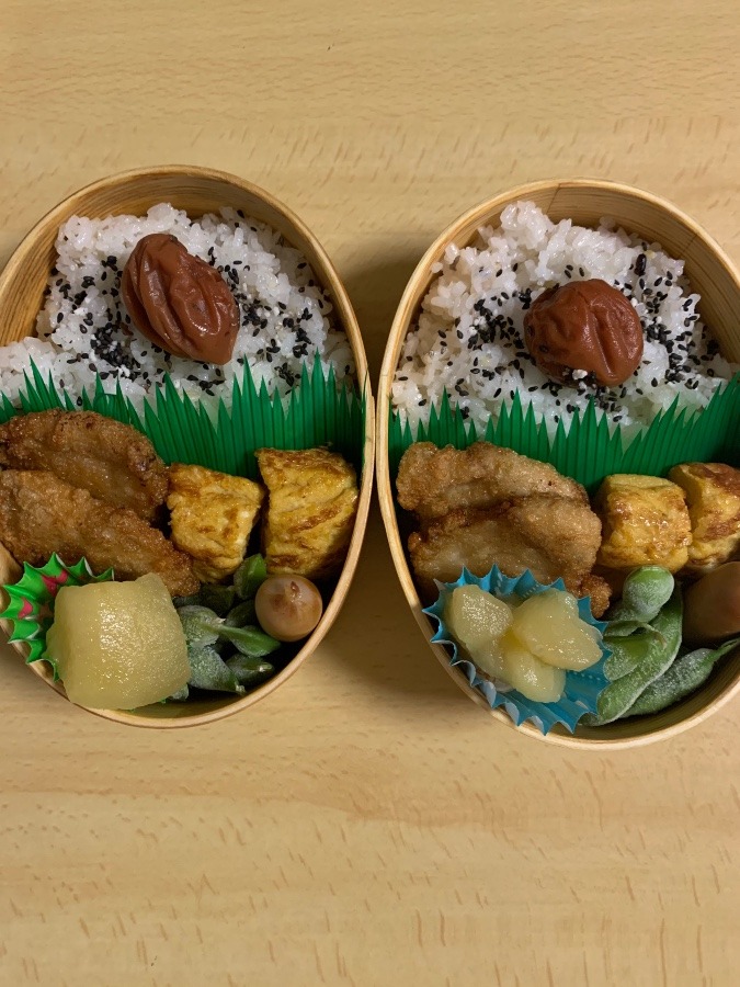 今日のお弁当