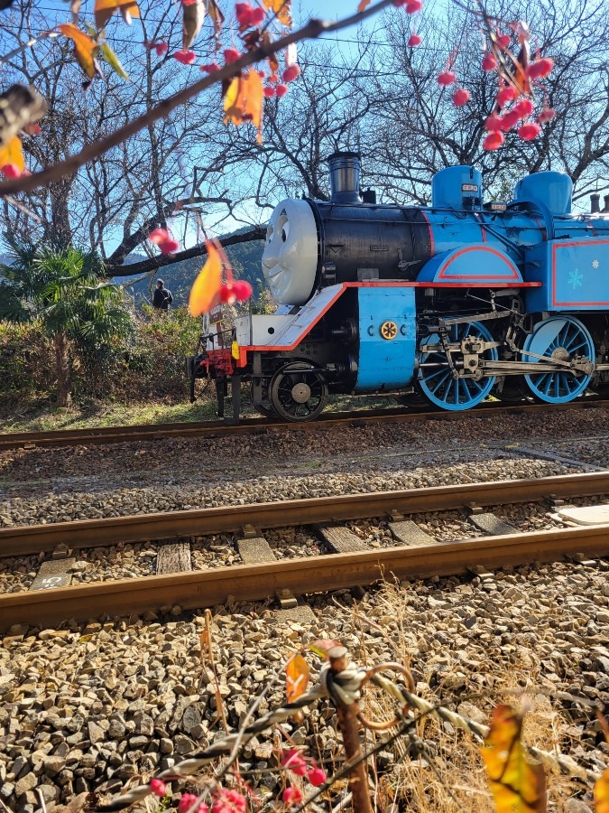 あの日のきかんしゃトーマス大井川鐵道冬の特別運転