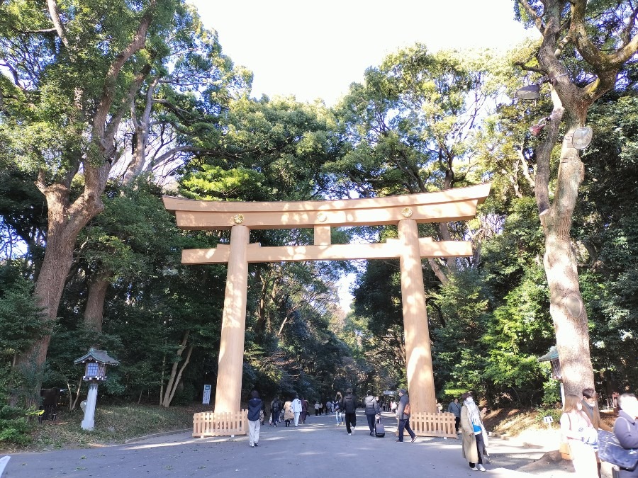 明治神宮初参り