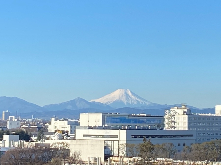 今朝の富士山-2023-29