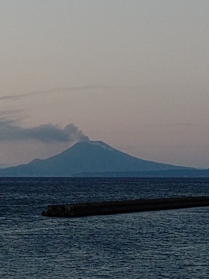 今日も元気だよ！