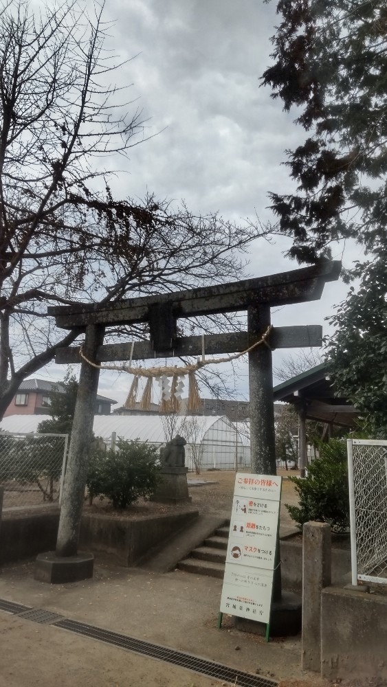 地元神社での、どんと祭❗️