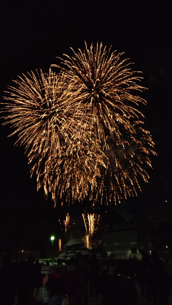 冬の花火 フェスティバル🎇