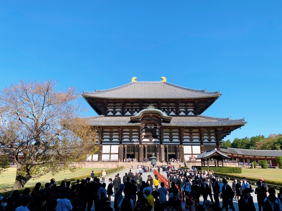 ☆奈良　東大寺の旅☆ ①