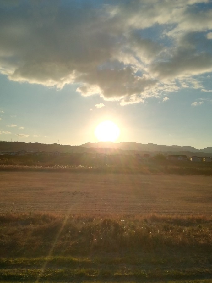 今朝の空