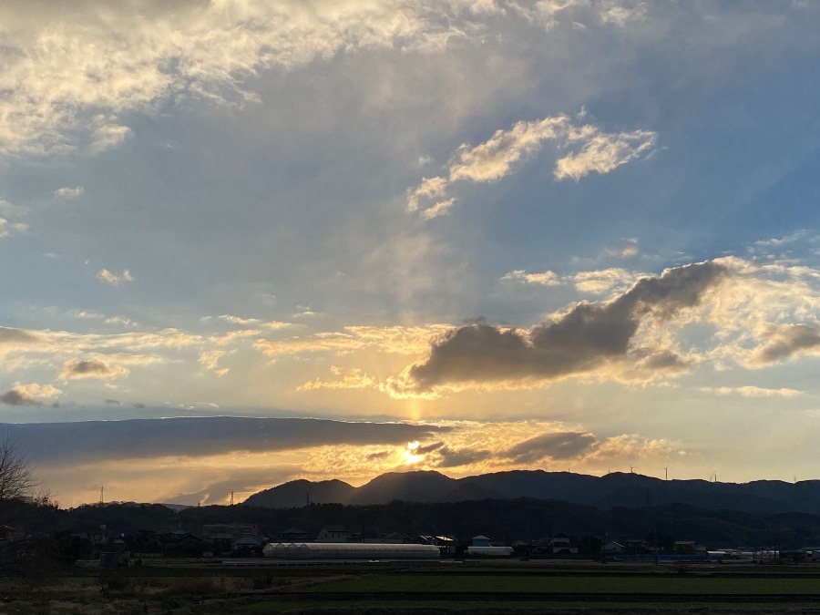 今朝の空　1／28