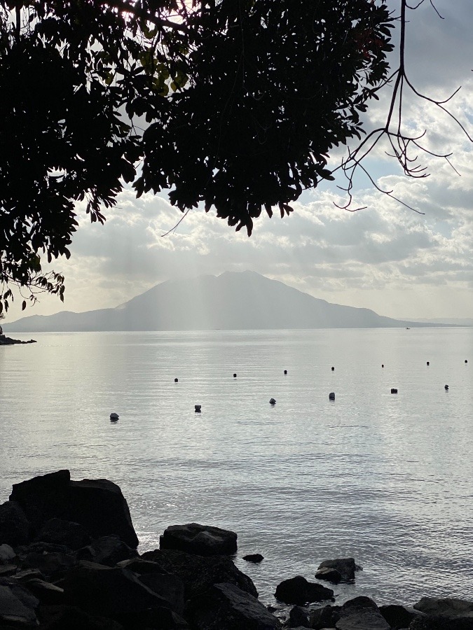 桜島でした‼️