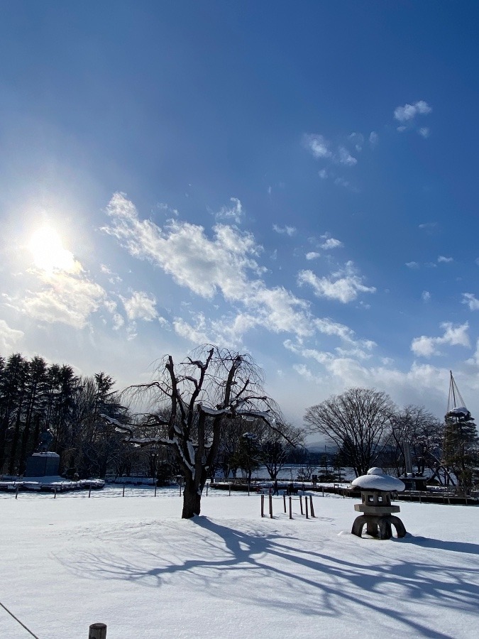 綺麗な雪景色🌸