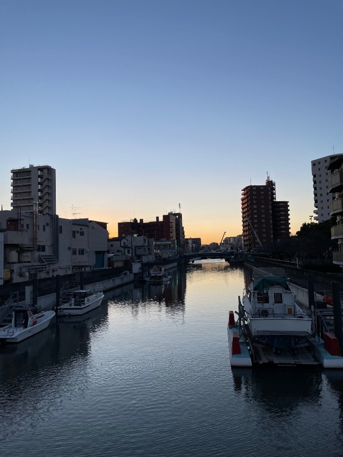 呑川を上流に見上げて