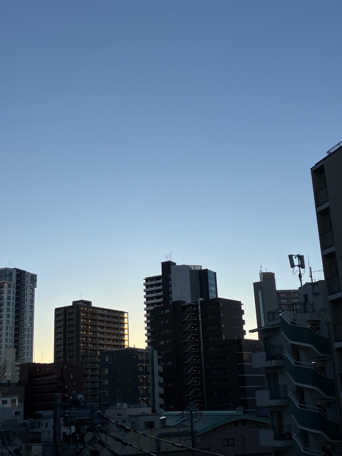 1/28 朝空