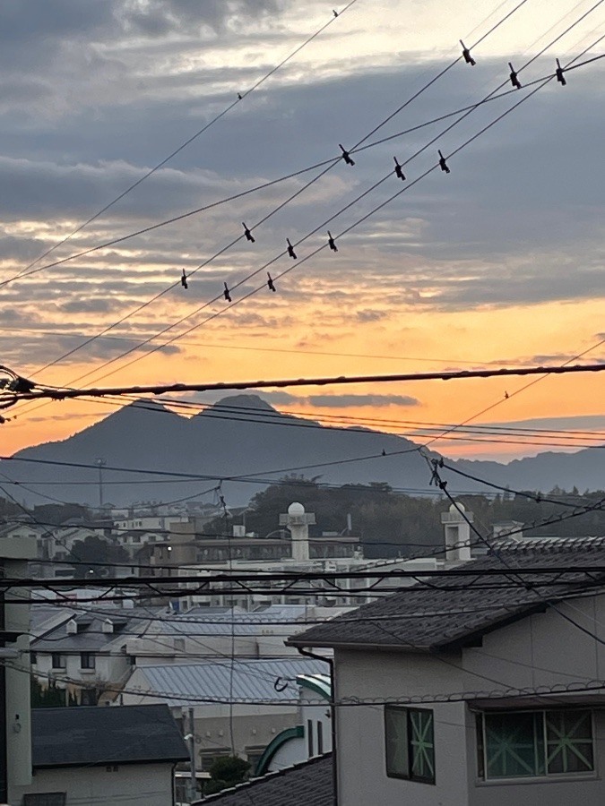 おはようございます♪