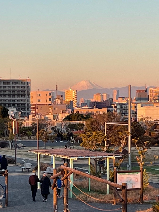 森ケ崎公園からの富士山