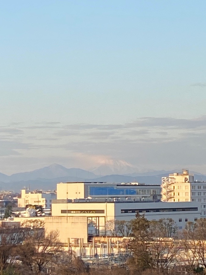 今朝の富士山