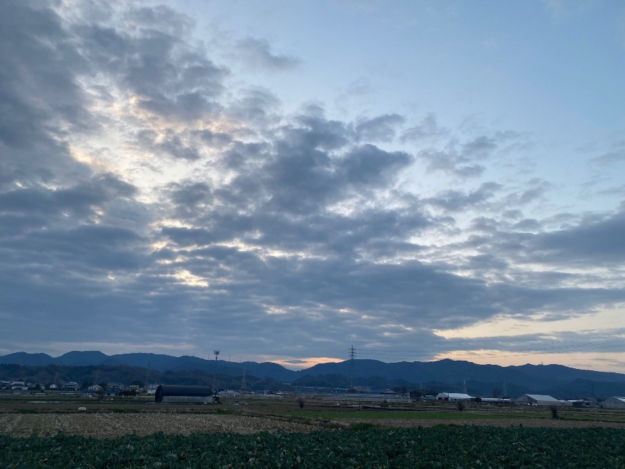 今朝の空　2／18