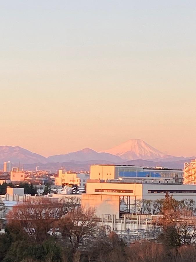 今朝の富士山