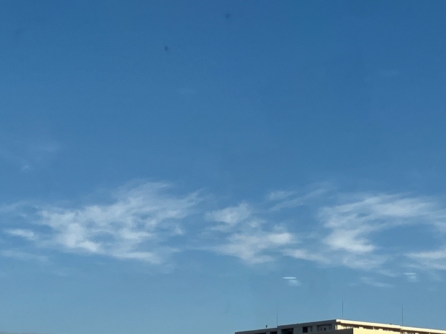 2/20 朝空