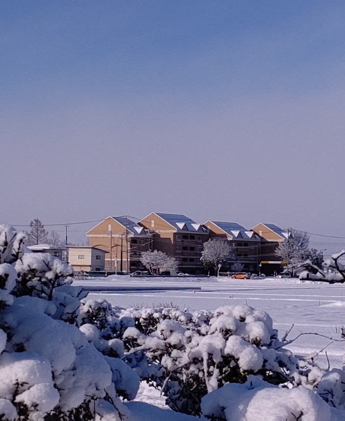 通勤中の雪原風景❄️❄️