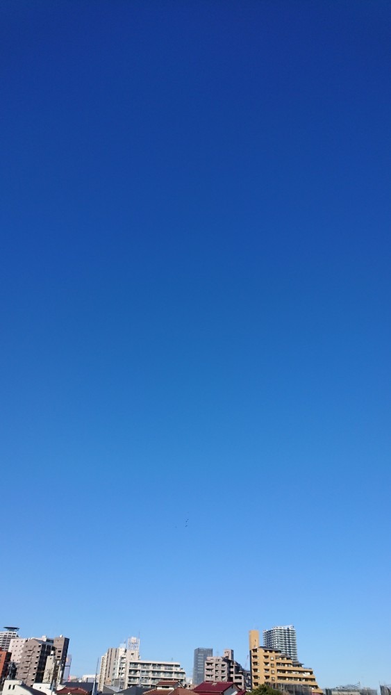 2023/2/26【朝空】