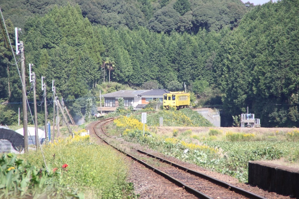 ゆっくりのんびり鈍行列車