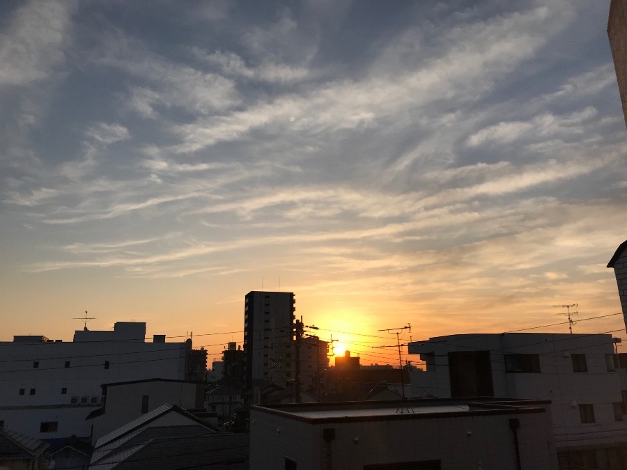 2023.2.1の朝空〜