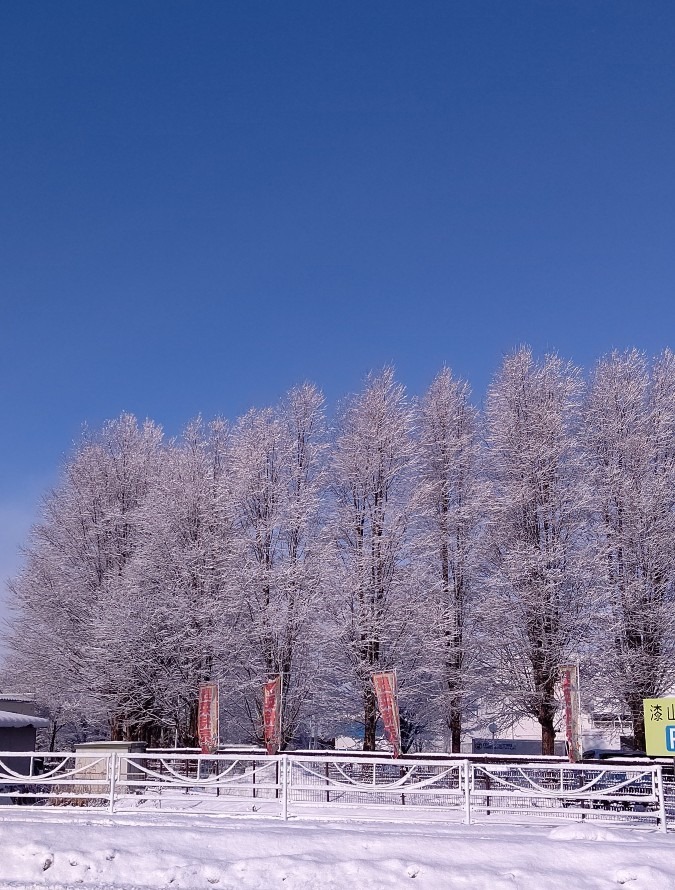 通勤中の風景❄️❄️❄️