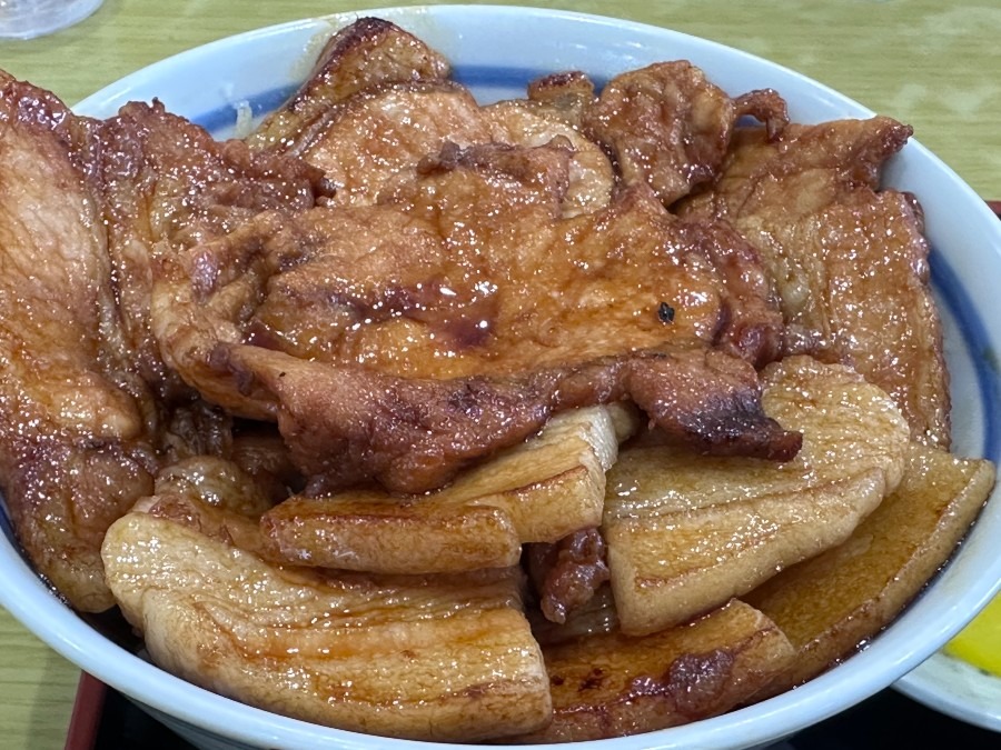 帯広名物　豚丼　ぶた丼のとん田