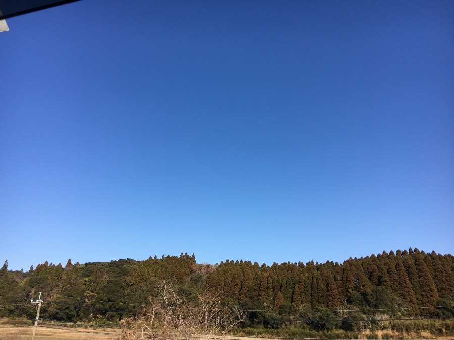 ⭕️空部→ 今日の空（≧∇≦）‼️429.