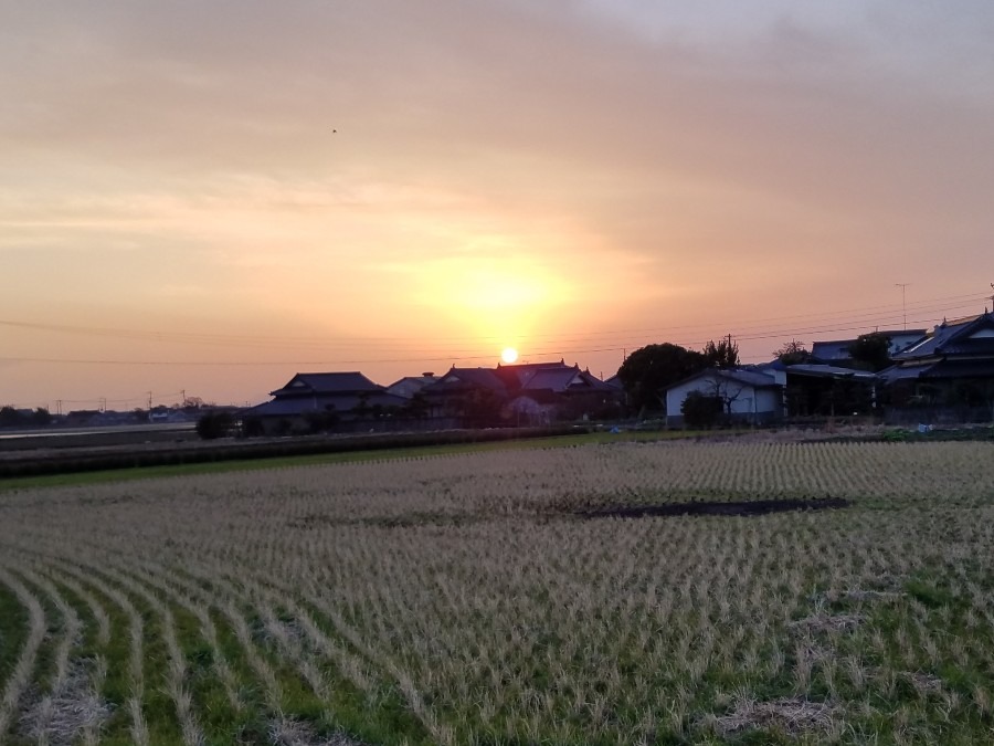 雨の降った後は☀️