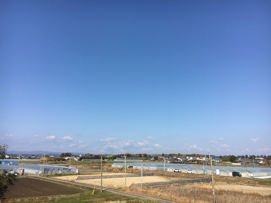 ⭕️空部→ 今日の空（≧∇≦）‼️411.