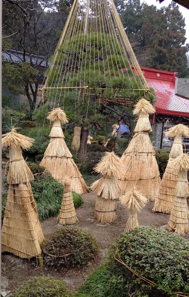 神社の庭園Ⅱ❣️