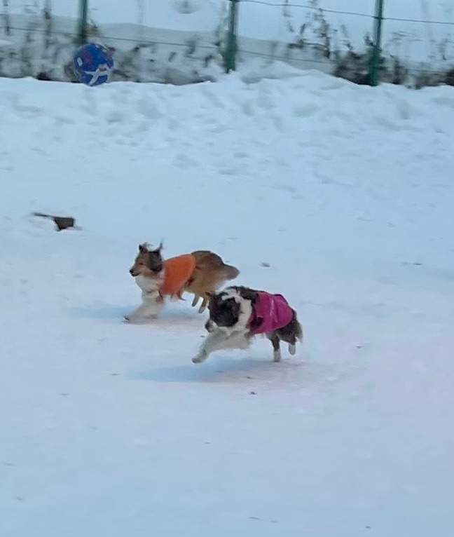 今シーズン初の雪遊び❣️