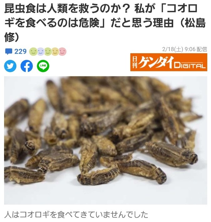 「コオロギを食べるのは危険」だと思う理由とは❓️