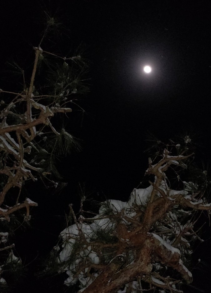 練習終え お月さん🌔