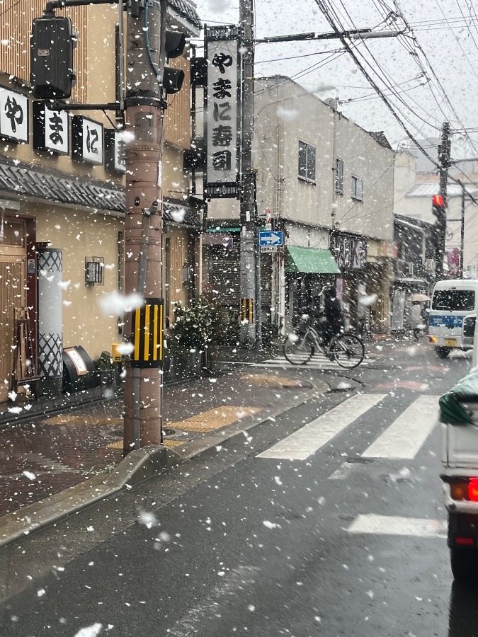 予想外の雪が….