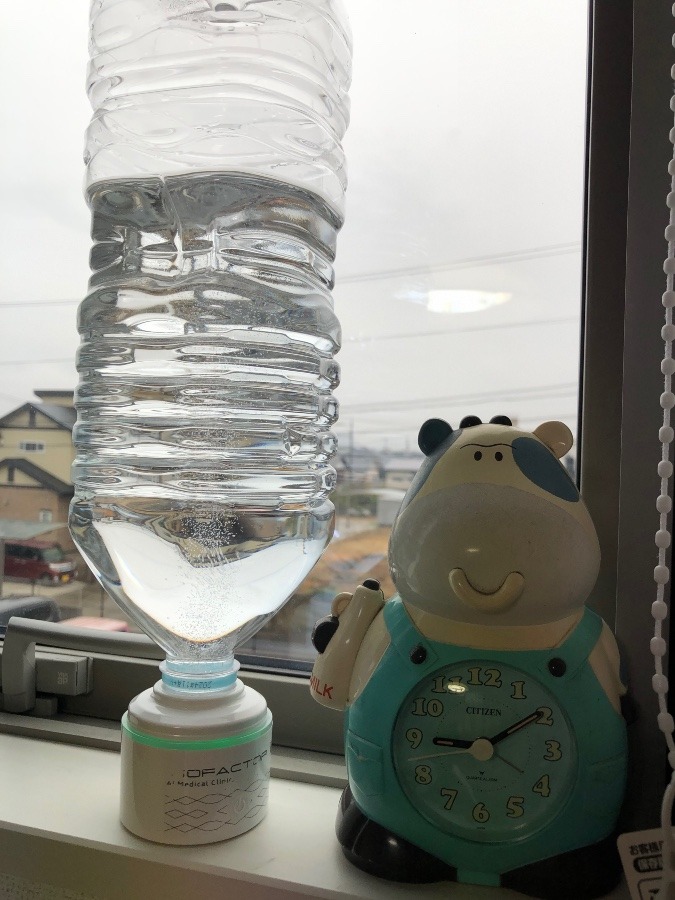 おはようございます(^o^)