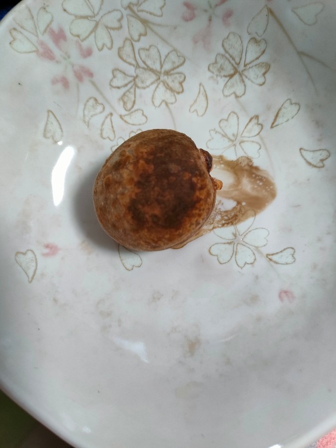 焼き梅です